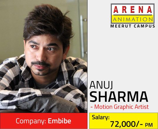 Placement Statistics - Arena Animation Meerut Placement Statistics - Arena Animation Meerut