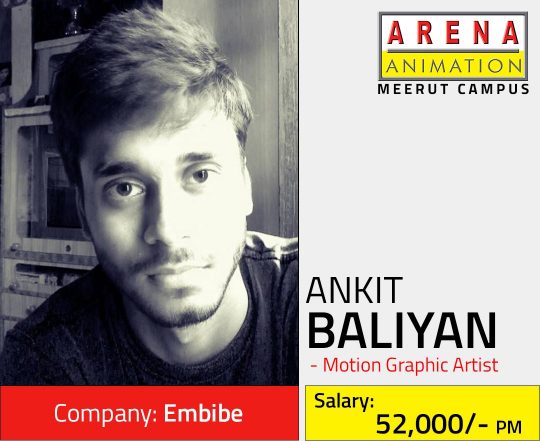 Placement Statistics - Arena Animation Meerut Placement Statistics - Arena Animation Meerut